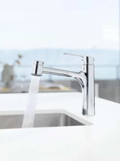 Hansa Ronda - Keukenkraan Met Uittrekbare Vuistdouche, Chroom 03382273 -Keuken Kortingswinkel f7448b83698c476c132f701a